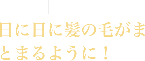 ちえさん。40代女性。日に日に髪の毛がまとまるように！