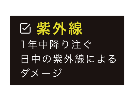 紫外線。１年中降り注ぐ日中の紫外線によるダメージ